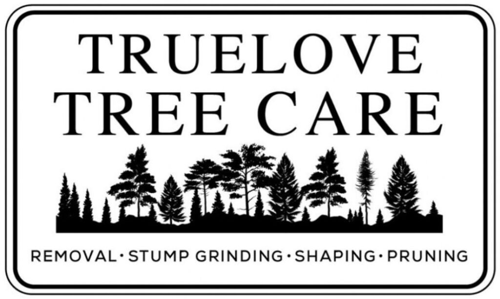 WhatsApp Image 2026 02 25 at 6.40.18 PM e1775287545891