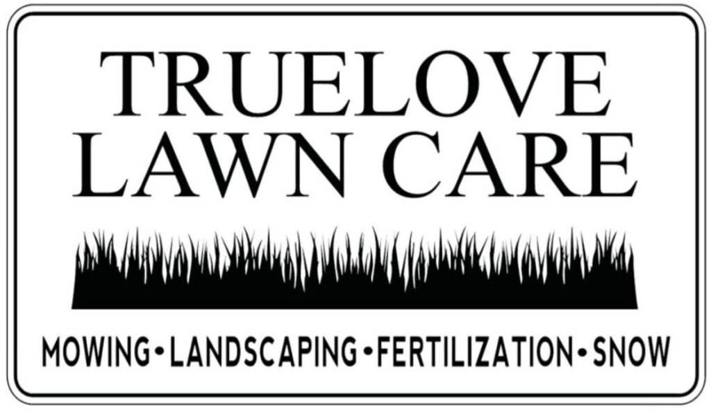 WhatsAppImage2026 02 25at6.40.17PM ezgif.com resize