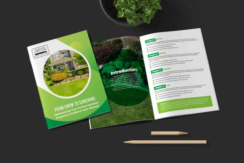 SnowToSunshineLawncare