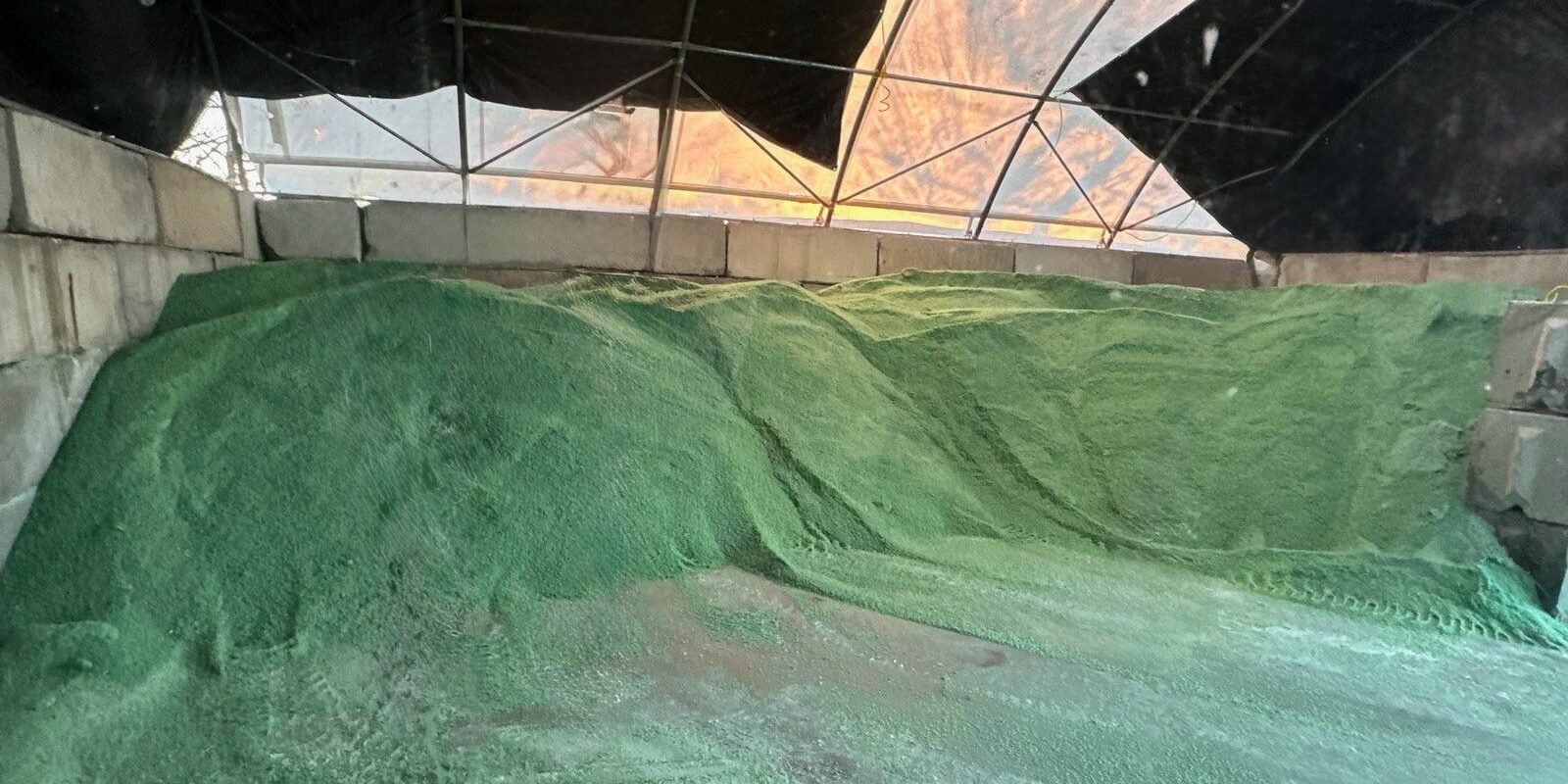 Overview 7 WhatsApp Image 2026-04-06 at 7.26.18 PM (1)