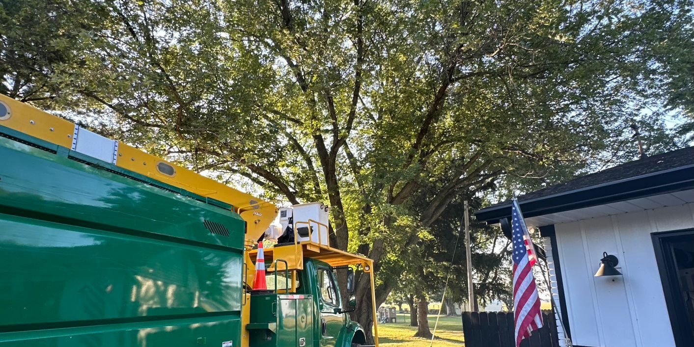 Overview 5 WhatsApp Image 2026-04-06 at 7.26.19 PM