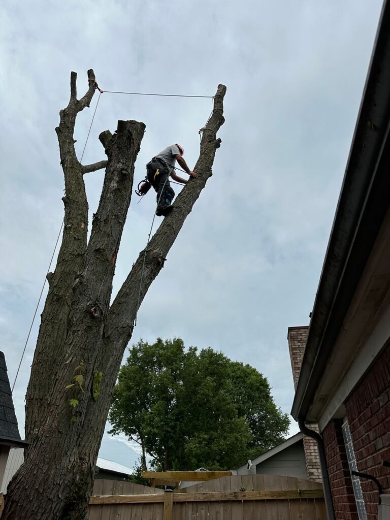 WhatsApp Image 2026 04 07 at 4.50.06 AM 1