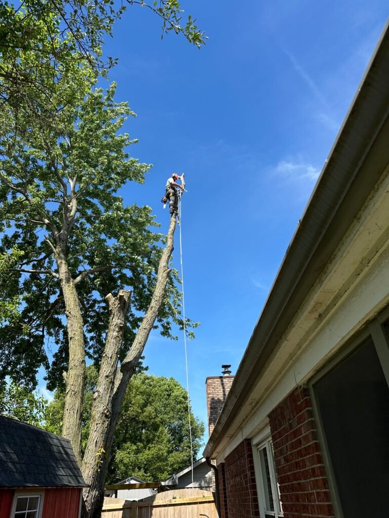 WhatsApp Image 2026 04 07 at 4.50.06 AM