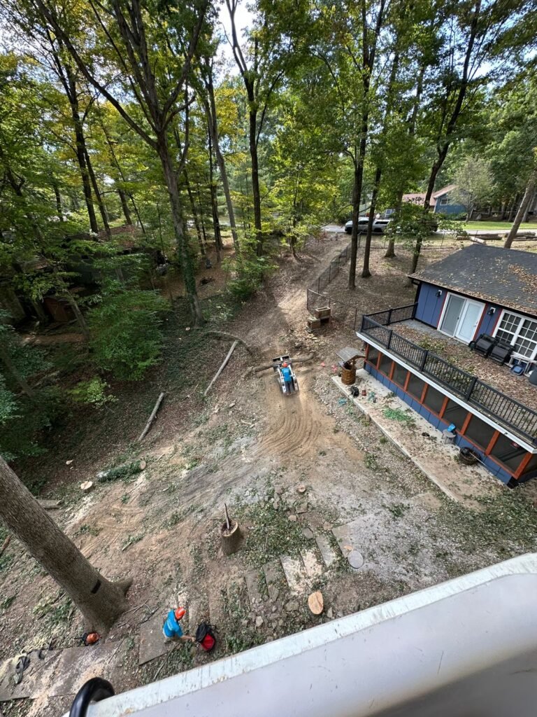 WhatsApp Image 2026 04 07 at 6.24.51 PM