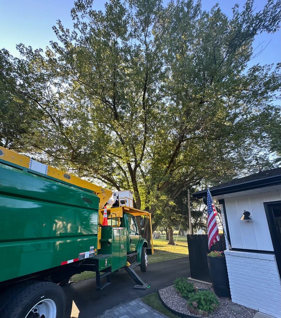 WhatsApp Image 2026 04 07 at 6.24.52 PM