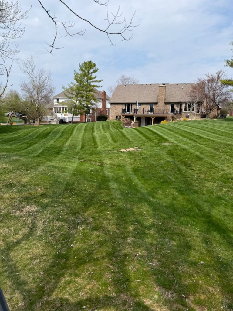 WhatsApp Image 2026 04 08 at 5.43.15 AM