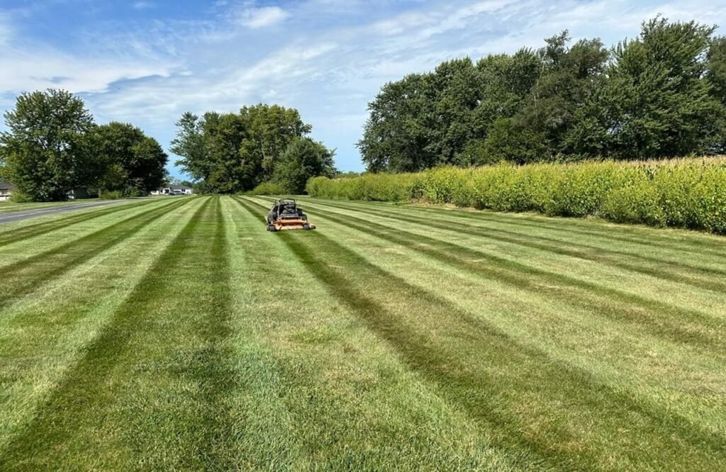 resized image 1277x831 1