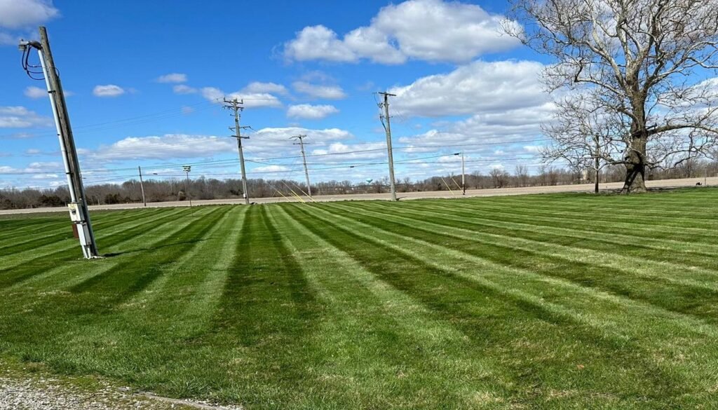 resized image 1344x768