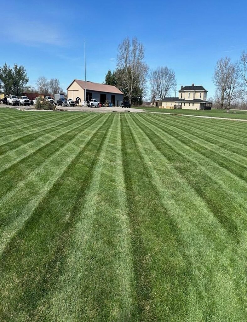 resized image 830x1080 1