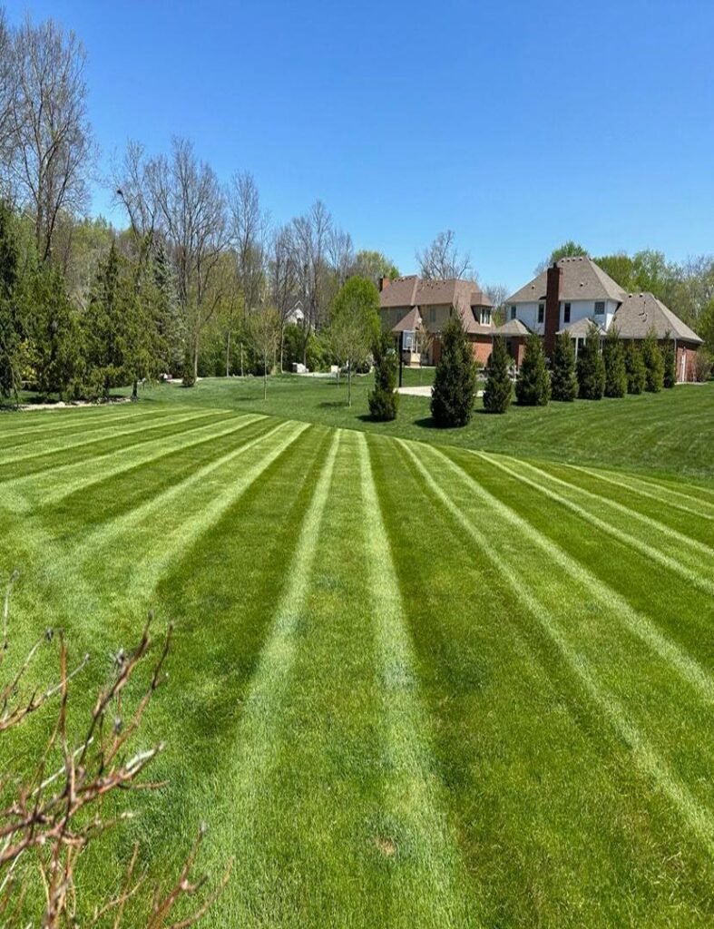 resized image 830x1080