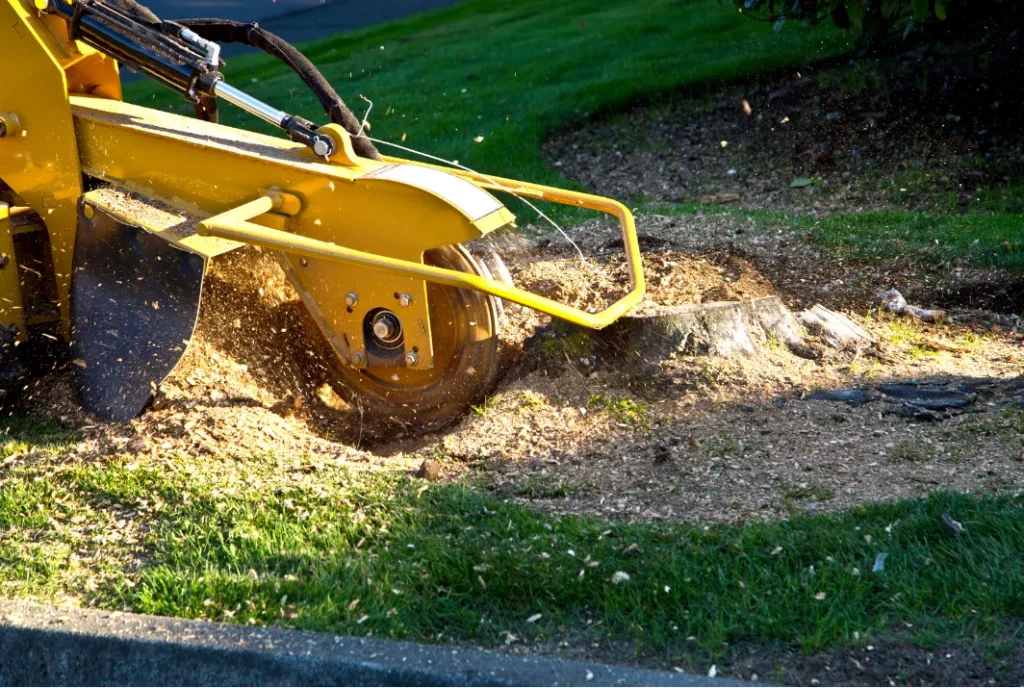Stump Grinding 1 stump grinding 2